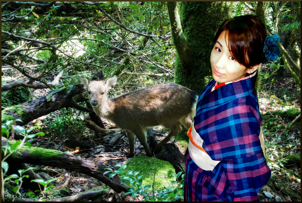 変わってて かわいい 半幅帯の結び方 浴衣にも小紋にも 帯の仕立て屋 みつやま