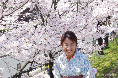 笑顔の着物女性と桜