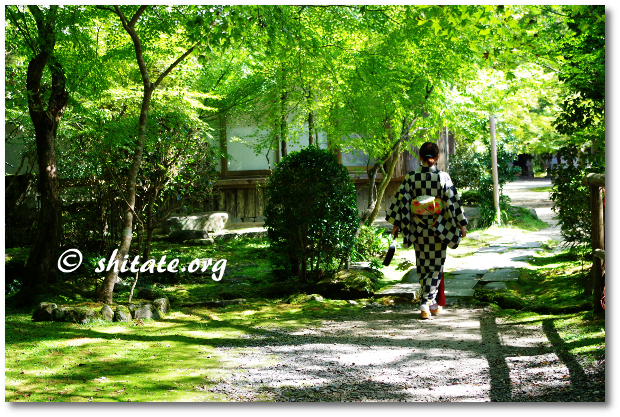 西明寺の庭とモダン着物女子