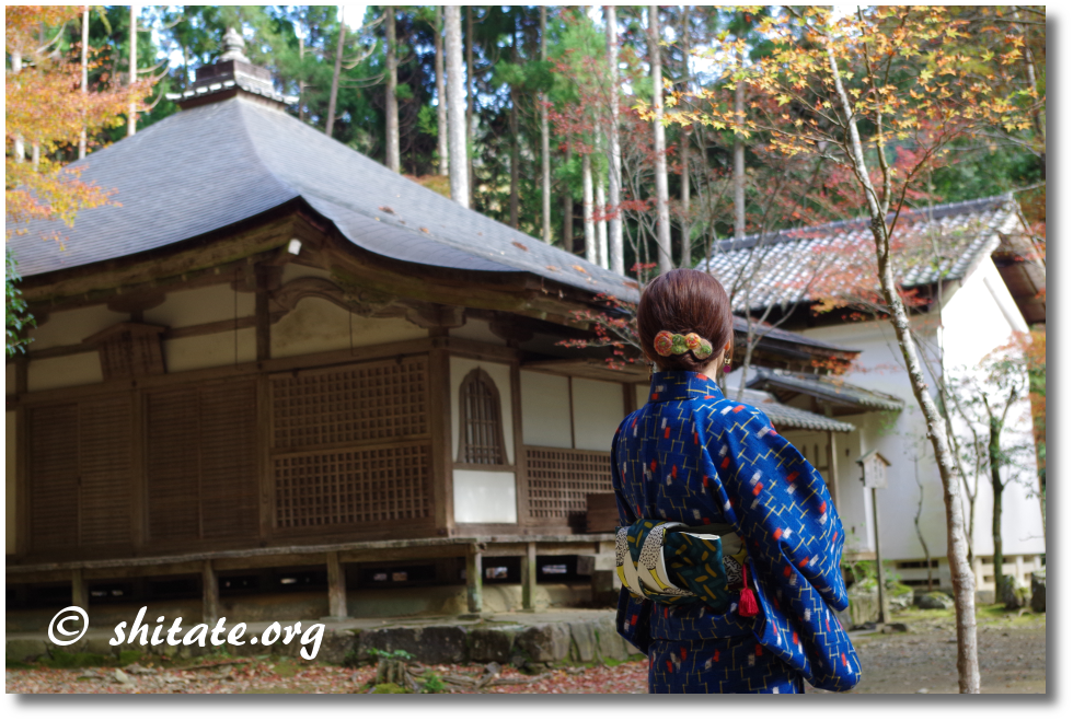 京都・三尾・高山寺の写真