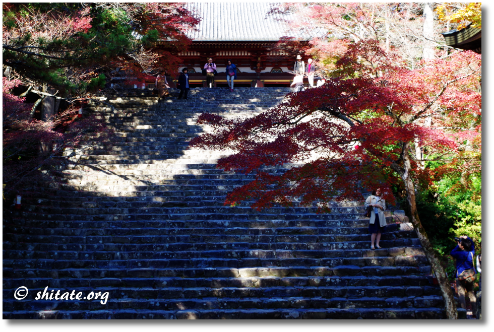 神護寺の階段・メインスポット