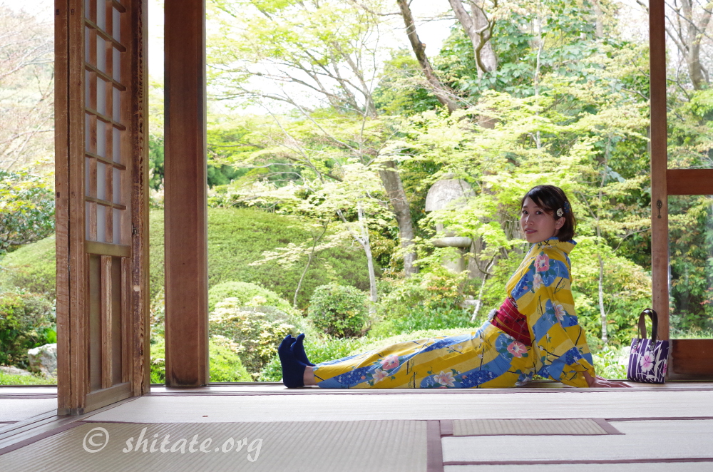 浴衣 足袋 なし 女性 浴衣 セット レディース 和服 古典柄 可愛い 花柄 