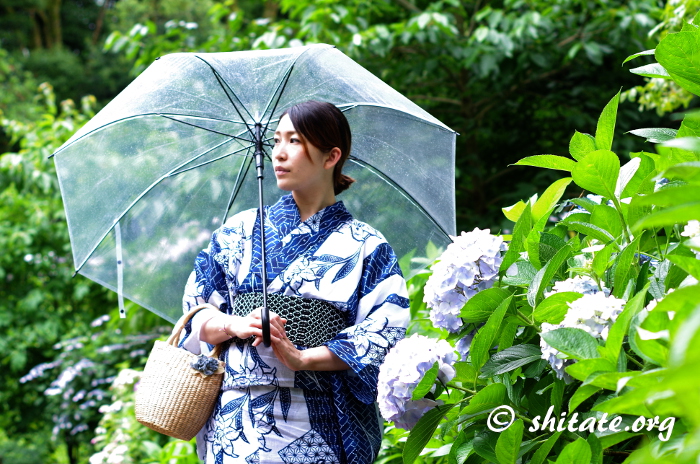 傘と紫陽花と紺の浴衣