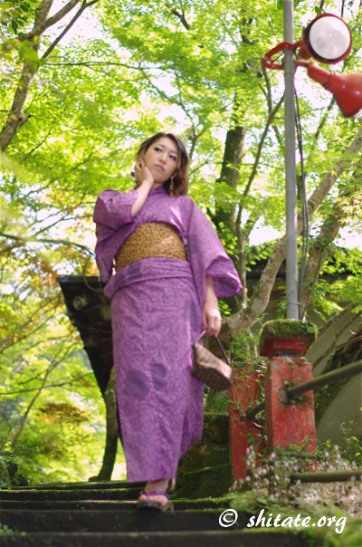 苔の階段を下りる紫の浴衣女性